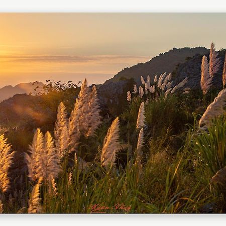 Cat Ba Island Garden Homestay - Papillon Екстер'єр фото