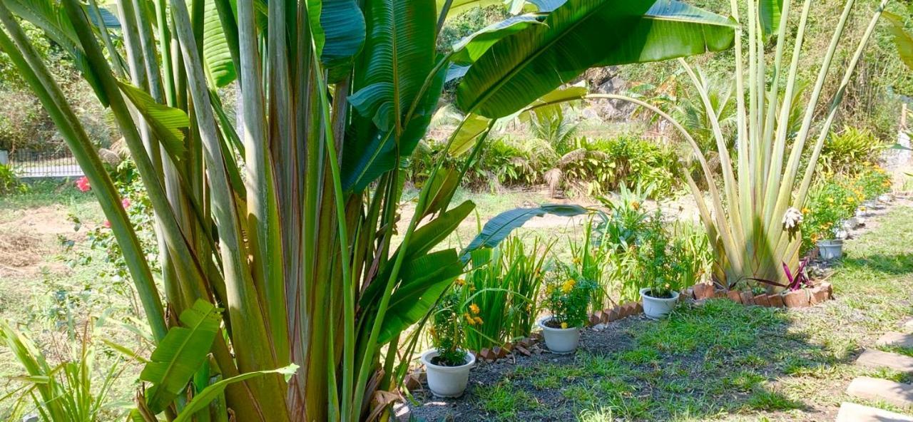 Cat Ba Island Garden Homestay - Papillon Екстер'єр фото