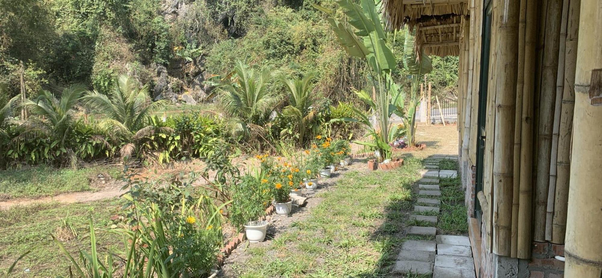 Cat Ba Island Garden Homestay - Papillon Екстер'єр фото