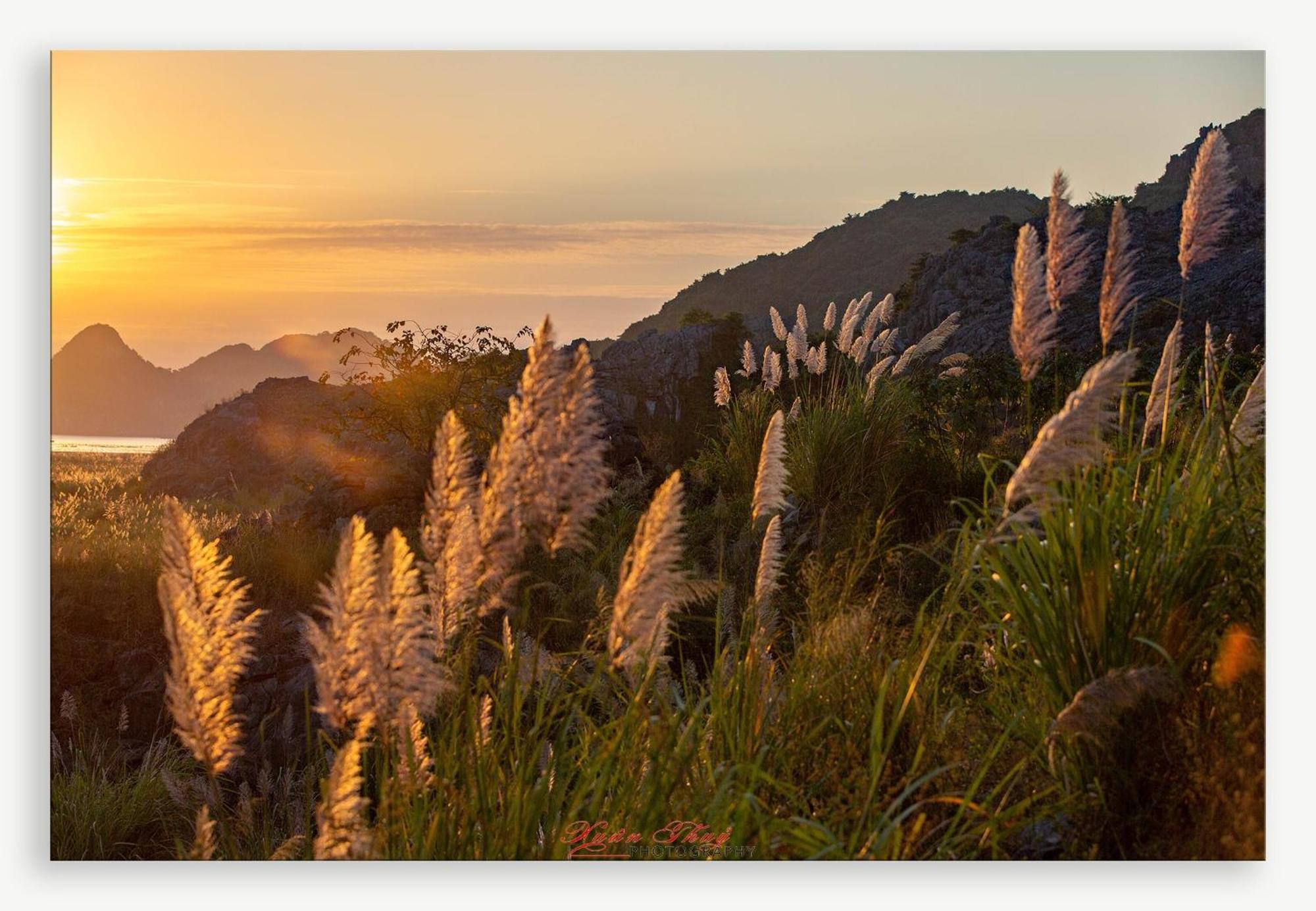 Cat Ba Island Garden Homestay - Papillon Екстер'єр фото