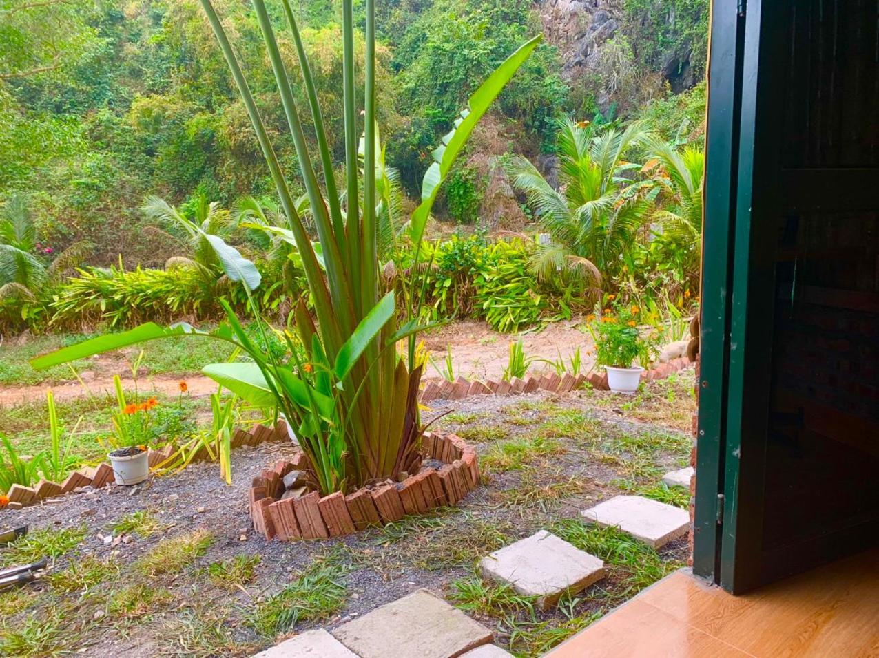 Cat Ba Island Garden Homestay - Papillon Екстер'єр фото